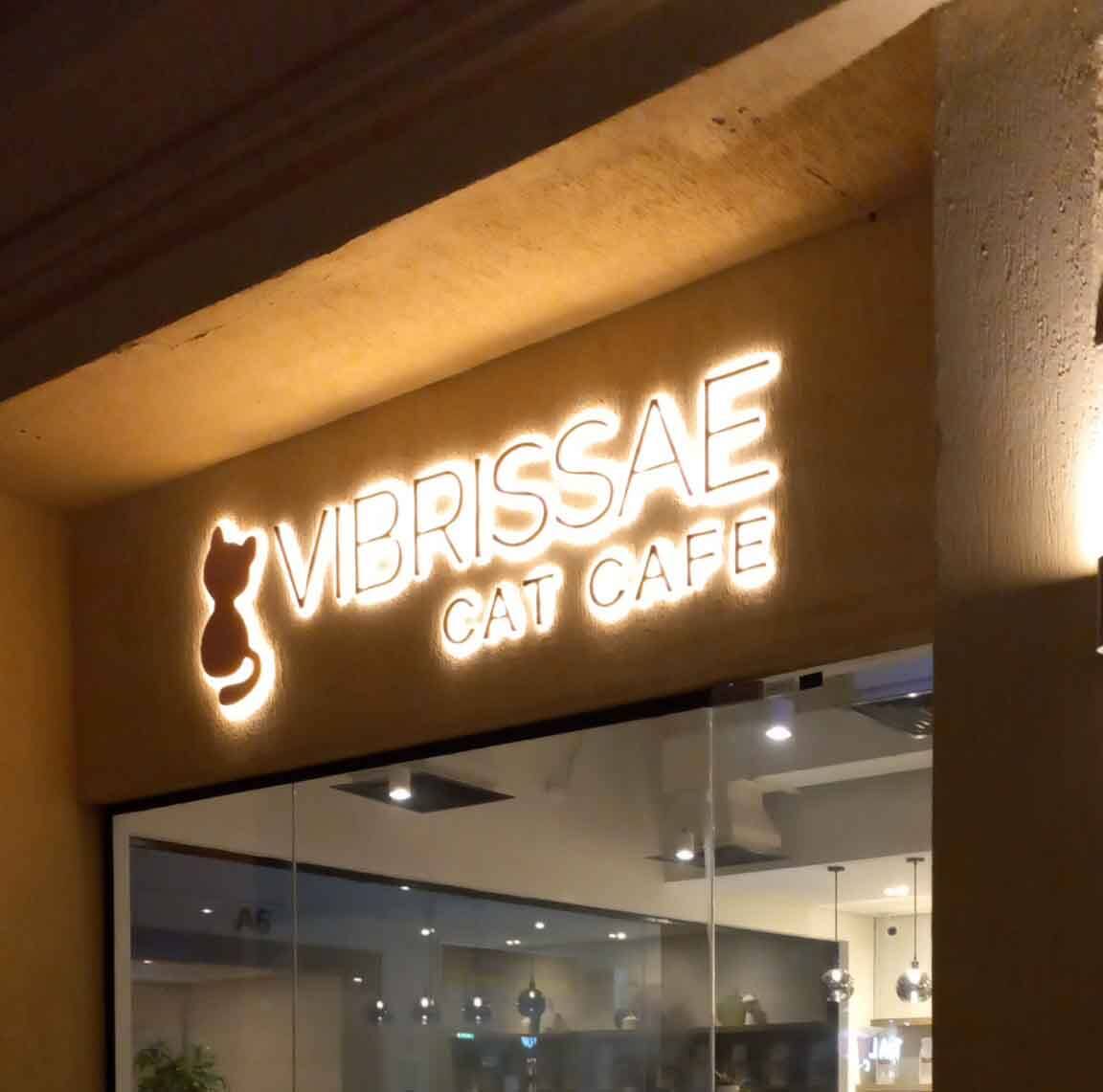 Vibrissae Cat Cafe, Al Safa, Dubai Zomato