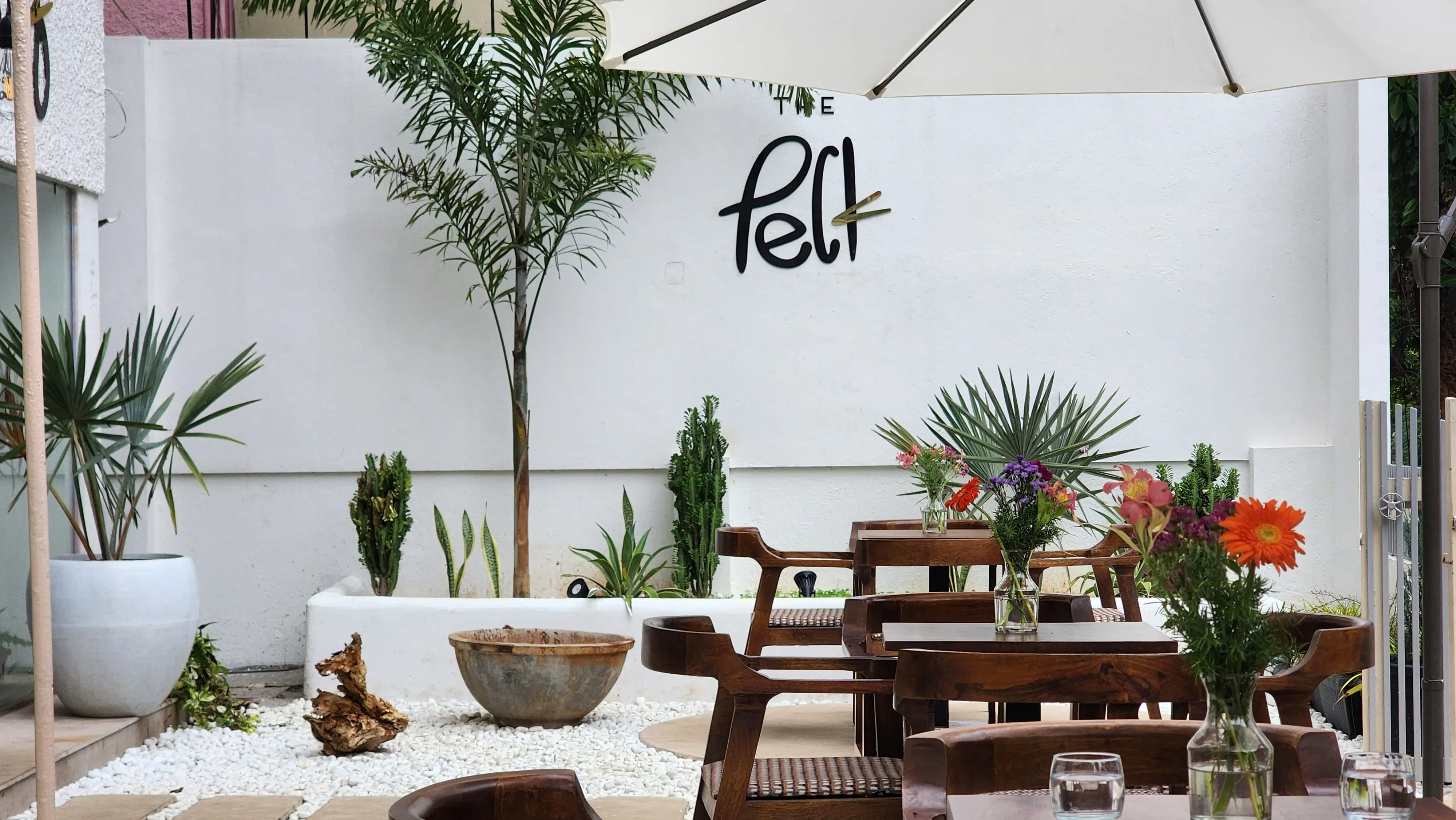 The Peck, Koramangala 8th Block, Bangalore | Zomato