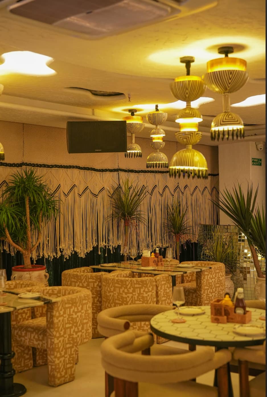 pet friendly places, pet friendly cafes, pet friendly dining, dog friendly restaurants, dog friendly cafes - The Big Tree Delhi - img4
