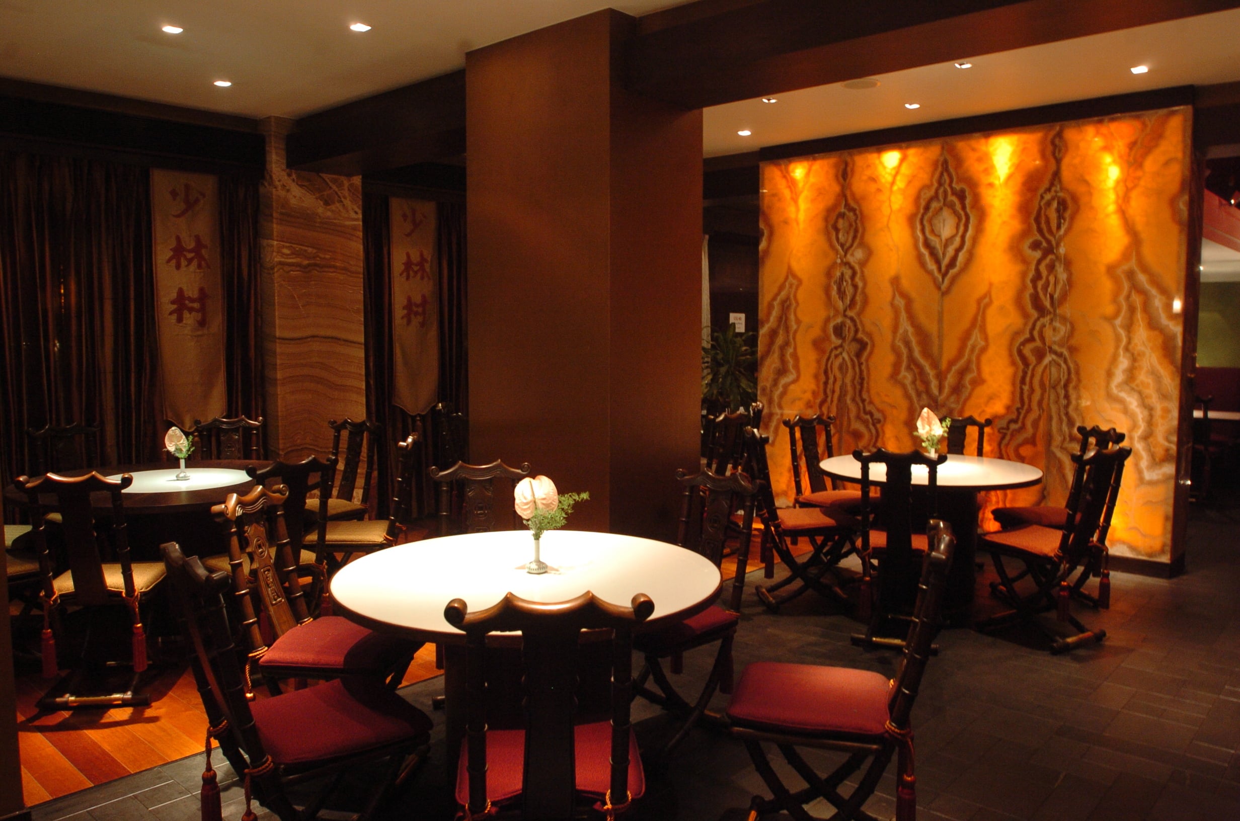 indo chinese food, Desi Chinese, hakka noodles, indo chinese cuisine, manchurian, chicken chilli - China Garden - img1