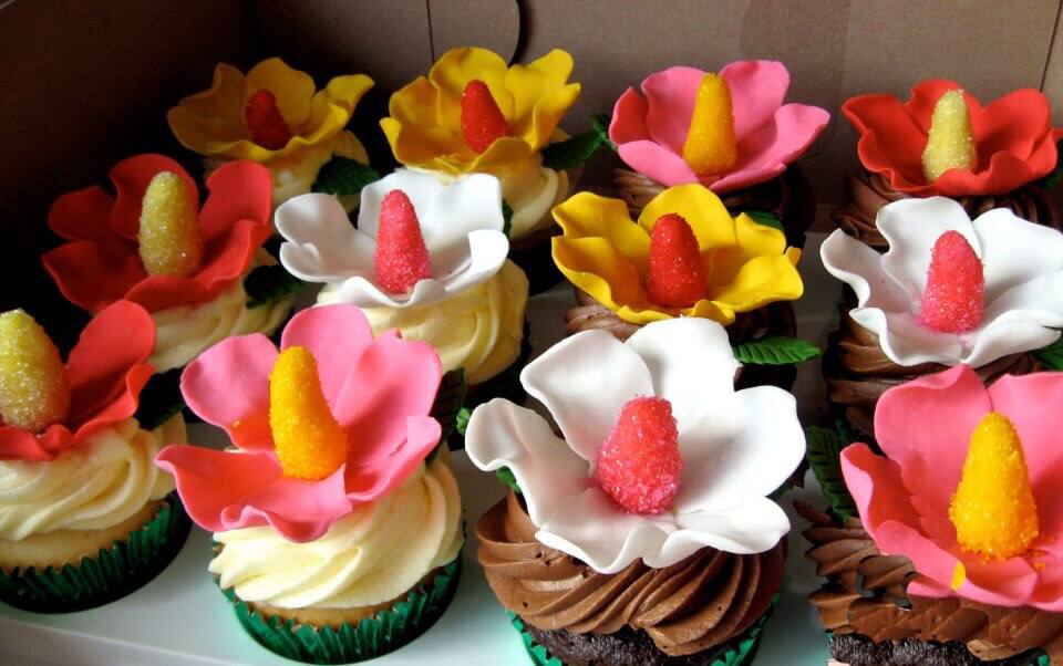 Cakes And Cupcakes Mumbai Reviews User Reviews For Cakes And Cupcakes Mumbai Santacruz East Mumbai