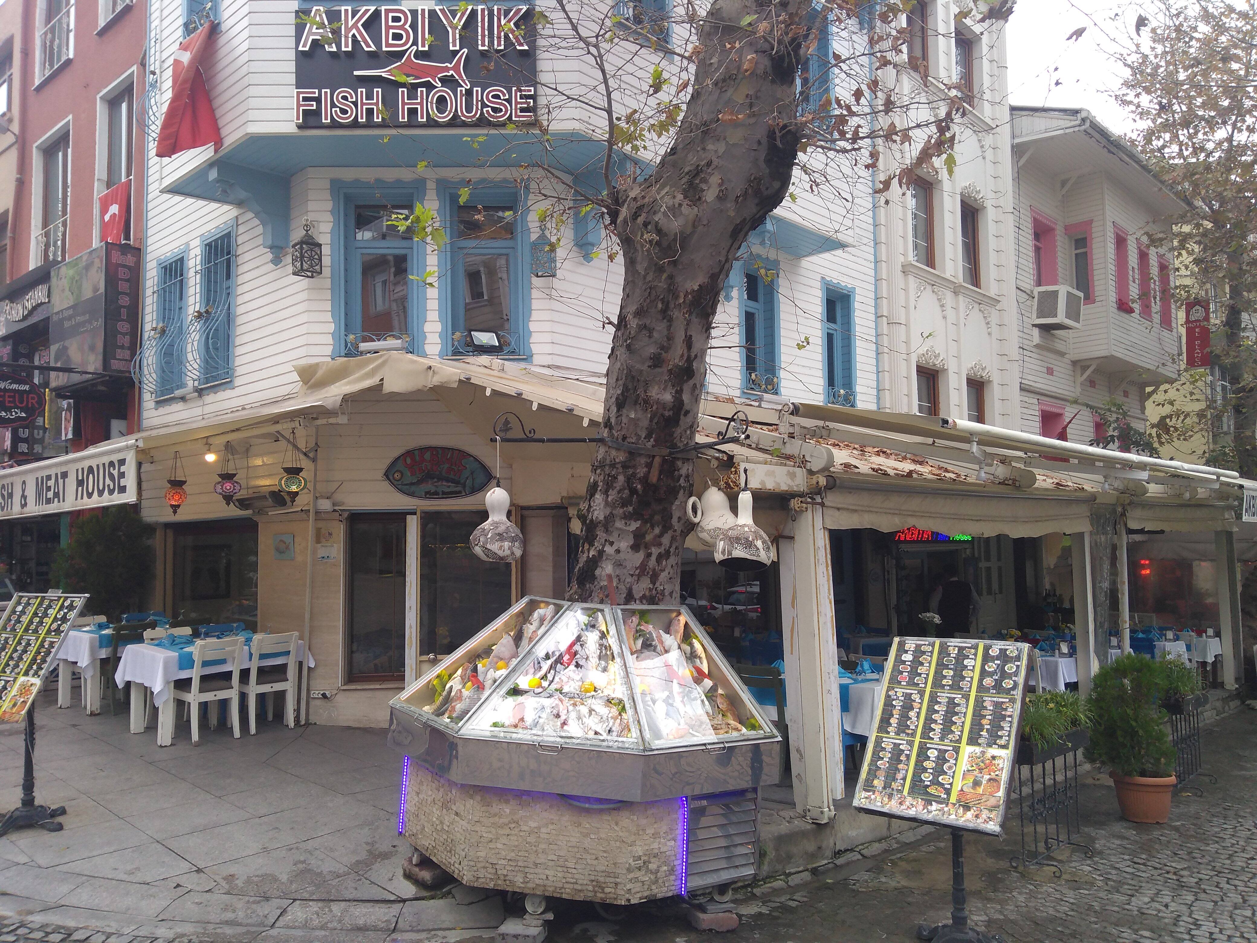 akbiyik fish house menu menu for akbiyik fish house sultanahmet istanbul