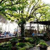 The Barn Restaurant Irene Pretoria Zomato Sa