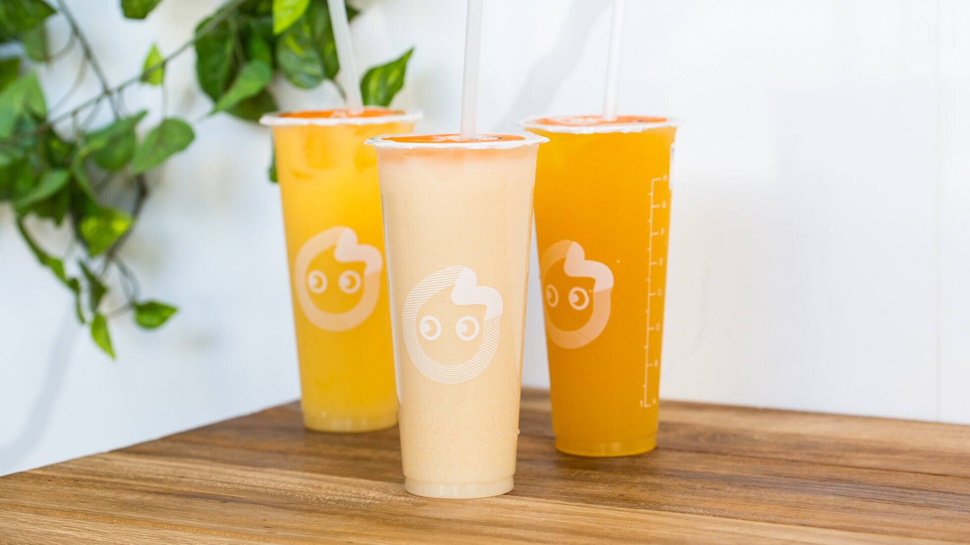 Menu of CoCo Fresh Tea & Juice, Chippendale, Sydney