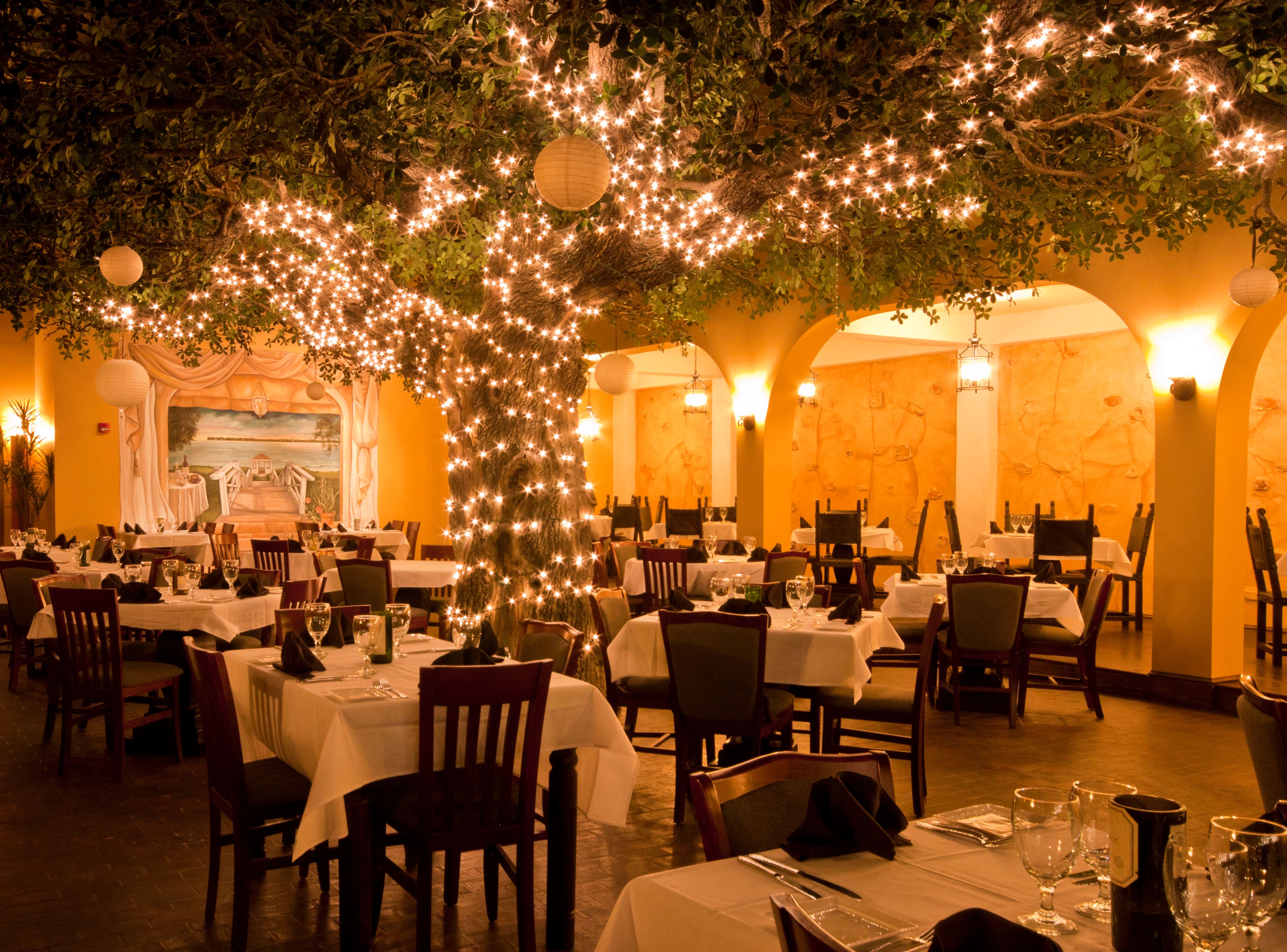 Firefly, Panama City Beach, Panama City Zomato