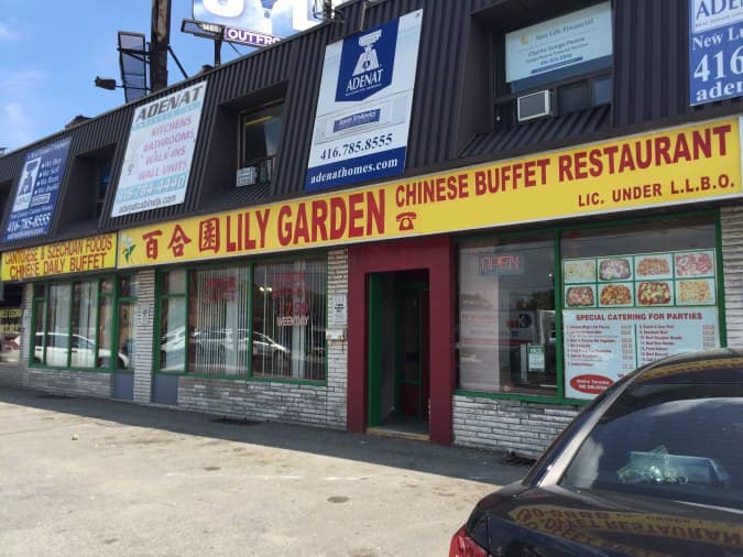 Lily Garden North York Toronto