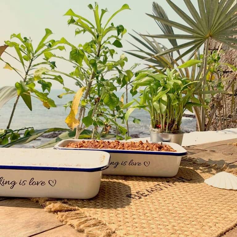 pet friendly places, pet friendly cafes, pet friendly dining, dog friendly restaurants, dog friendly cafes - Eva Cafe - img2