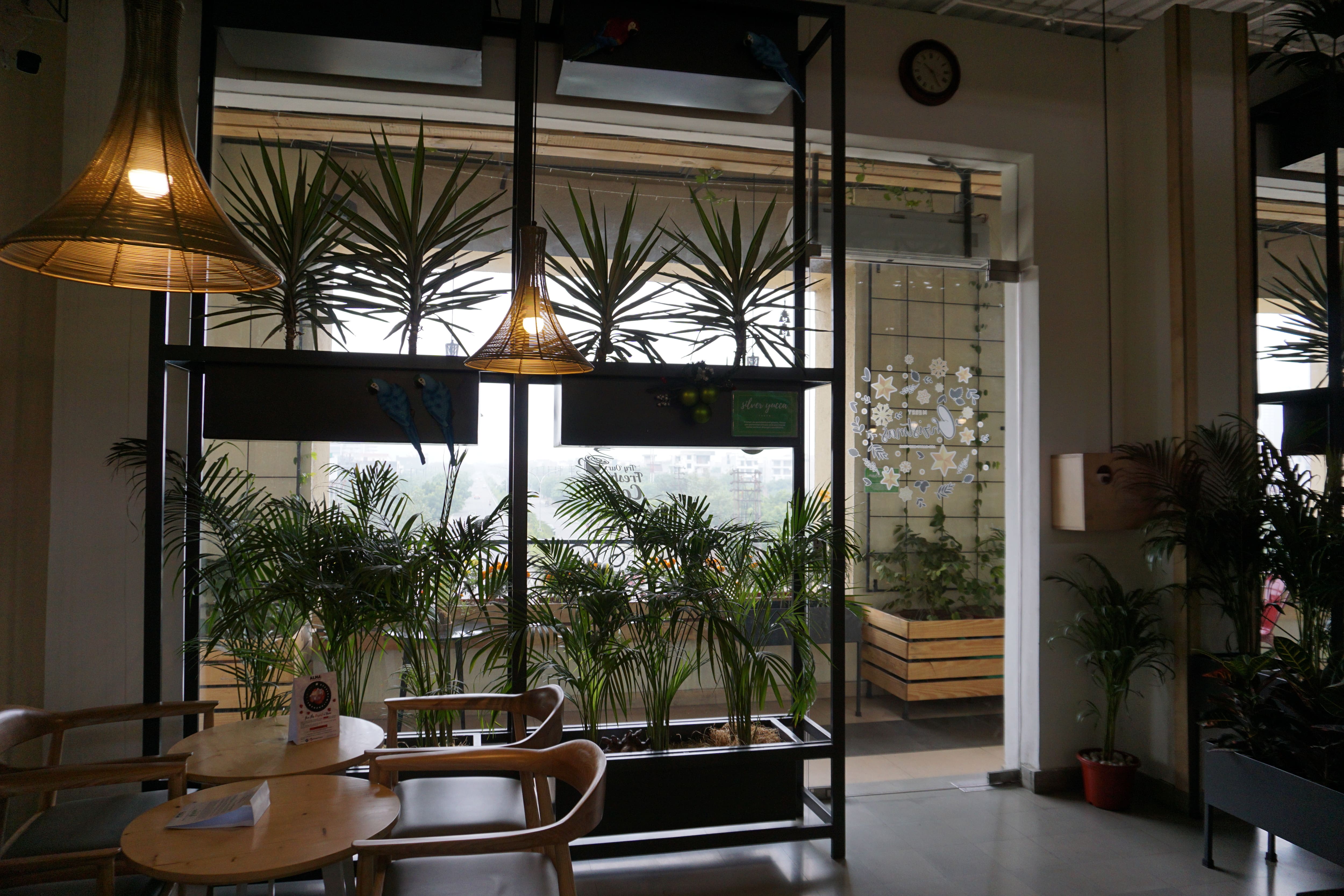 desserts, bakery, cakes, pastries, brownies, cookies, ice cream, cheesecake, tiramisu, cupcakes - Alma Bakery & Cafe - img5