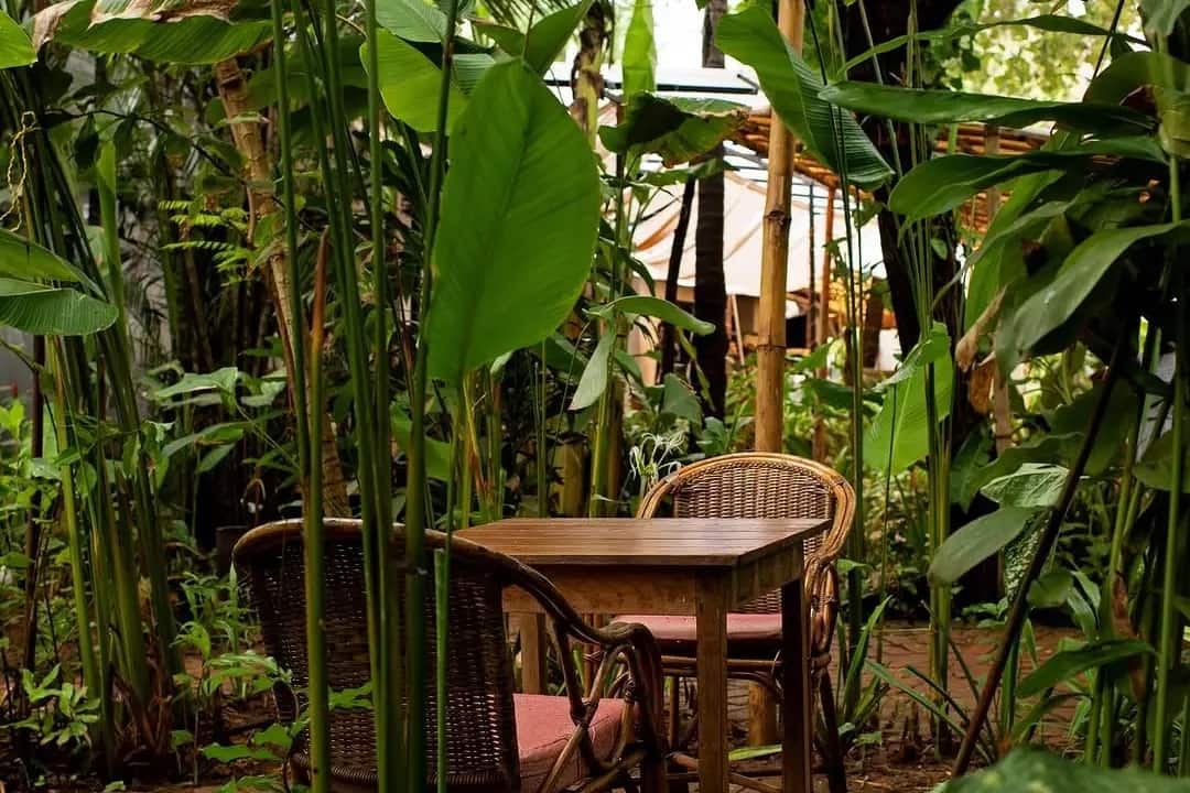 Restaurant image