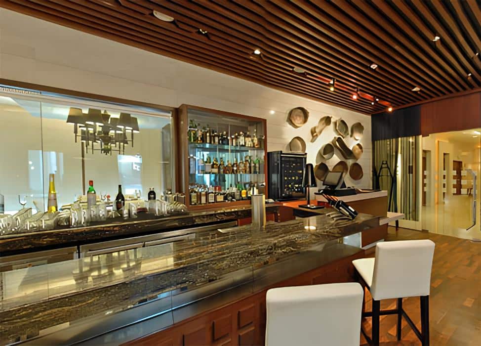 fine dining restaurants, family restaurants, family dining near me, indian fine dining - Earthen Oven - Fortune Landmark - img2