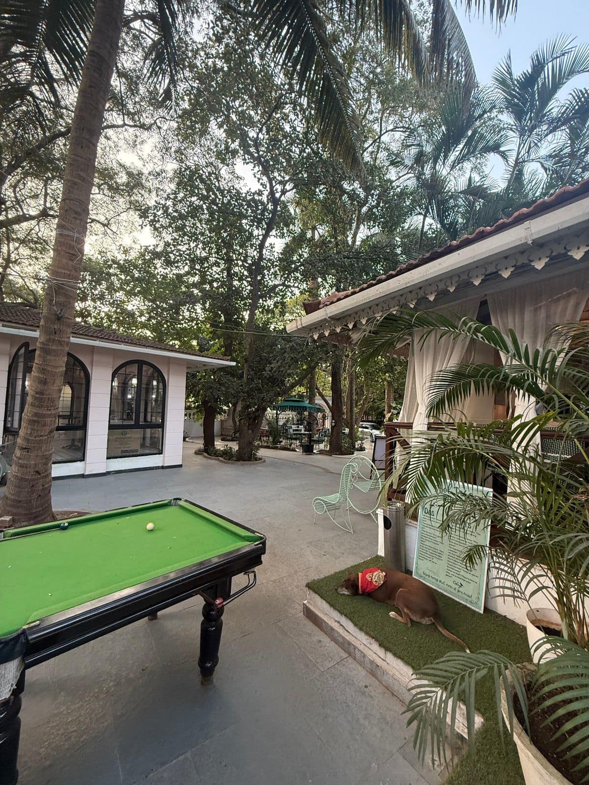 all day breakfast, breakfast restaurants, breakfast cafes, goan breakfast, ros omelette - Cafe Cotinga - img5