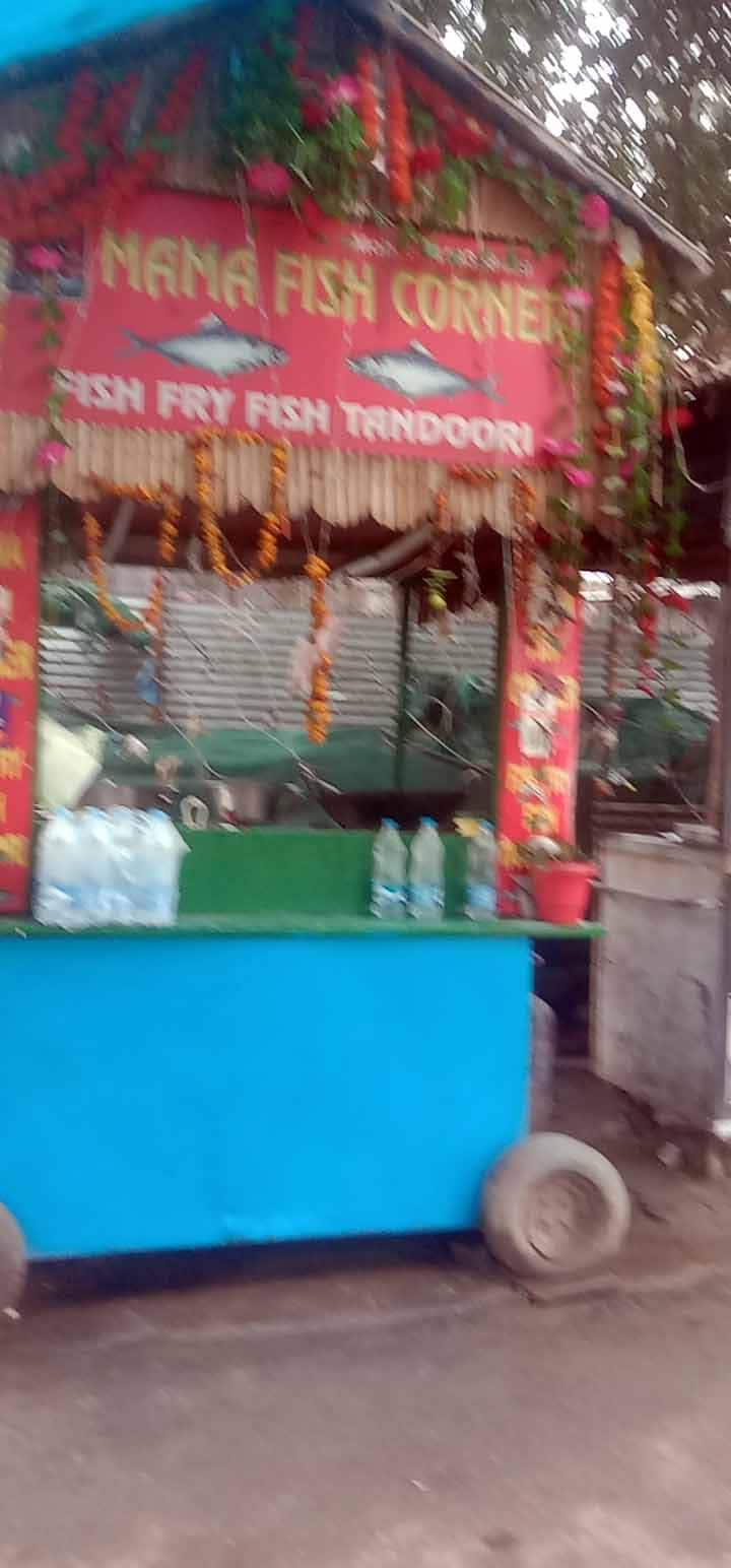 Mama Fish Corner, Gandhi Nagar, Jammu Zomato