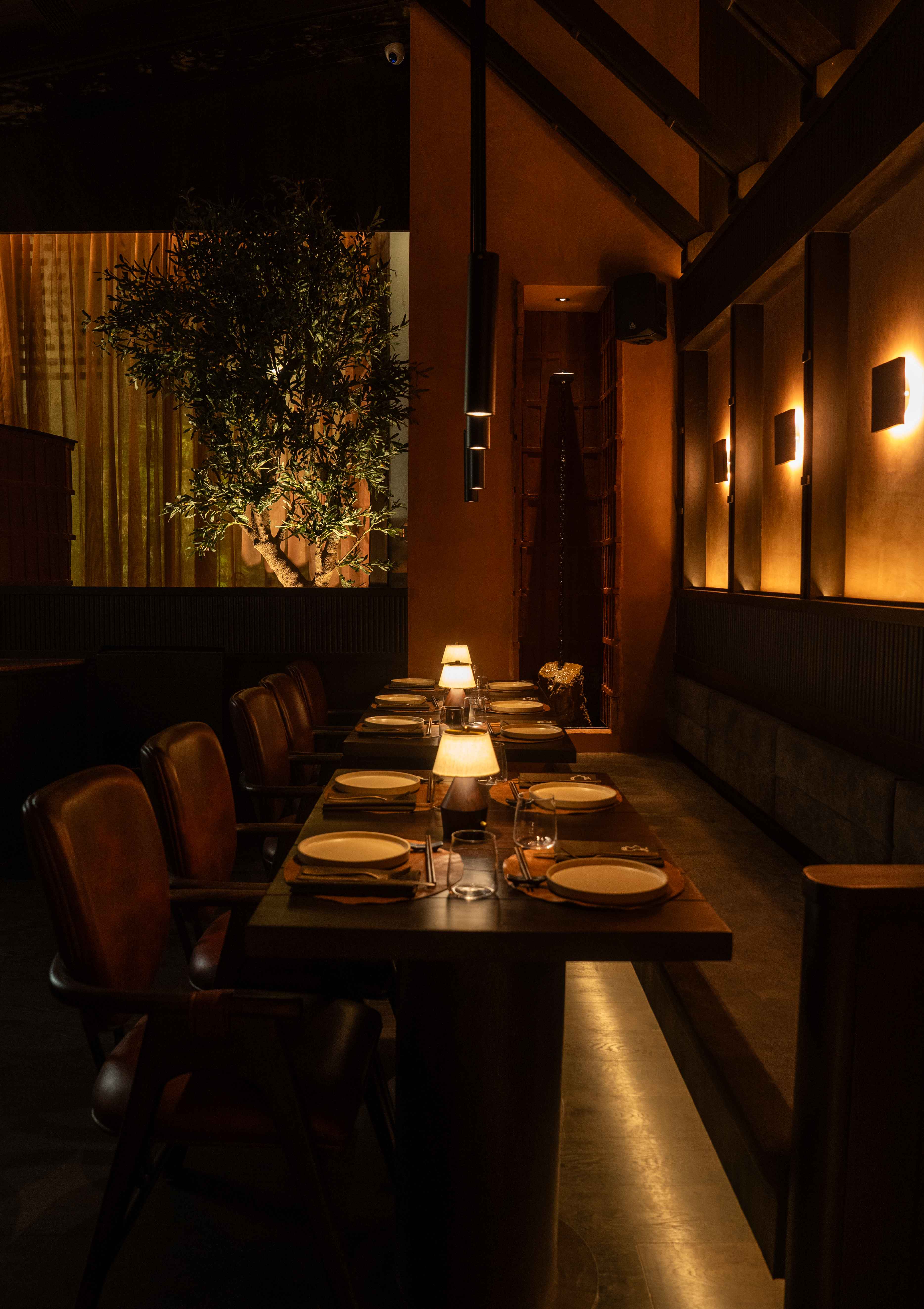 japanese fine dining, japanese restaurants, japanese food, sushi, sashimi - She's Here - img5