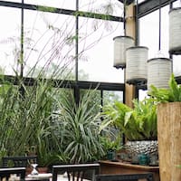 Bunga Rampai Photos Pictures of Bunga Rampai Menteng Bunga Rampai Photos Pictures of Bunga Rampai Menteng