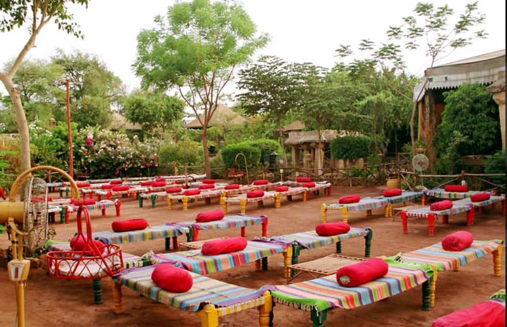 pet friendly restaurants near me, dog cafe near me, pet friendly cafes, dog friendly restaurants near me, pet friendly restaurants - Rajwadu - img5
