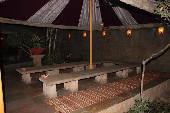 pet friendly restaurants near me, dog cafe near me, pet friendly cafes, dog friendly restaurants near me, pet friendly restaurants - Rajwadu - img3