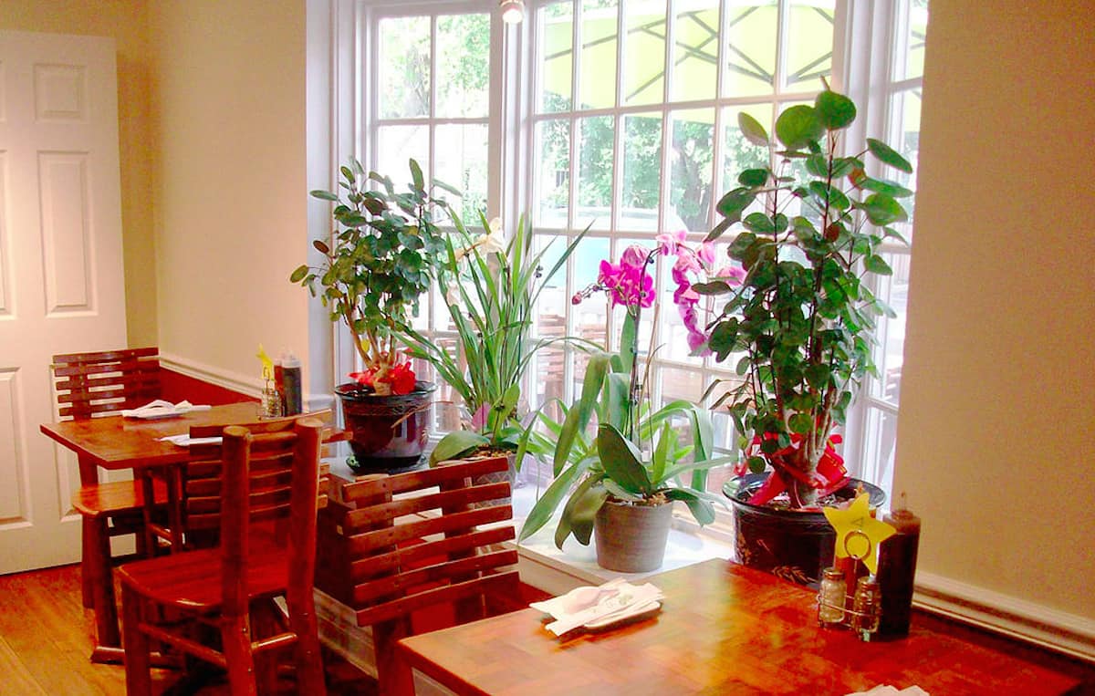 Green Basil Menu, Menu for Green Basil, Naperville, Chicago