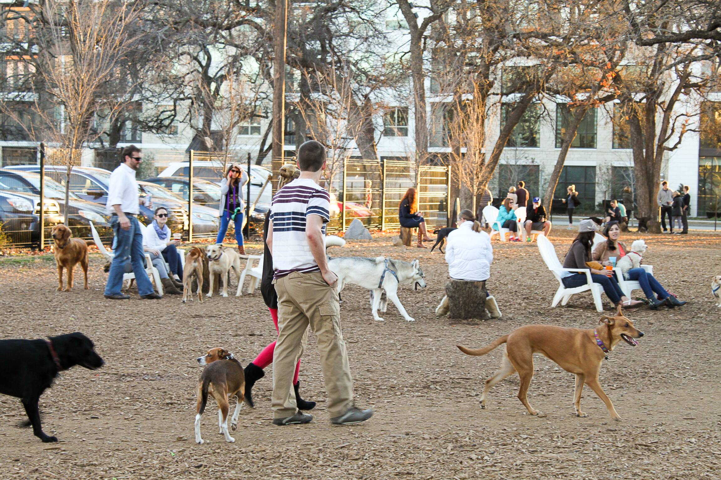 mutts cantina dallas
