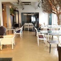 Image result for petztopia cafe