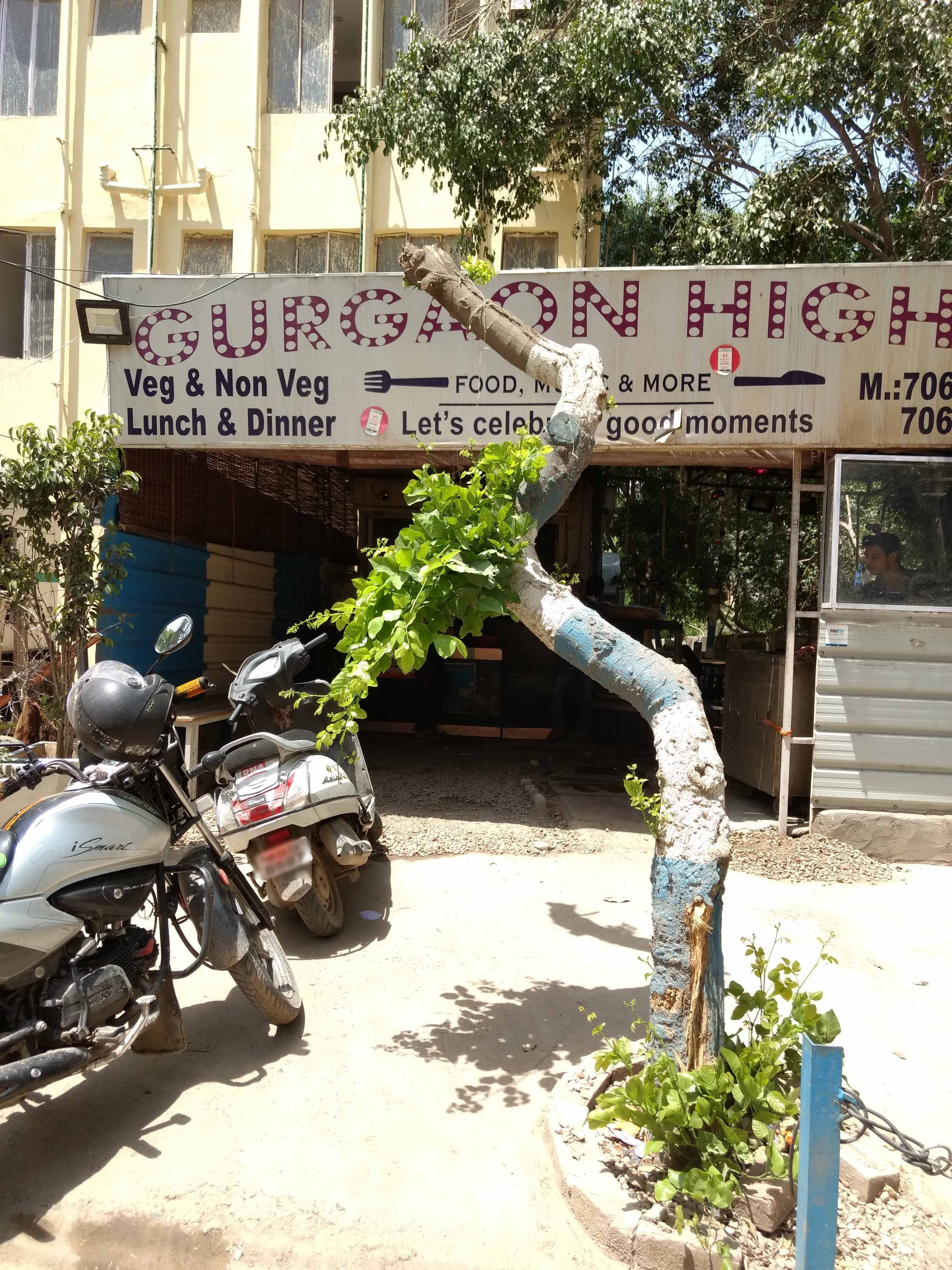 Gurgaon Hights, DLF Phase 3, Gurgaon Zomato