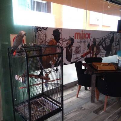 Alamat Dari Mixx Cafe Bistro Sarigazi Mixx Cafe Bistro Sarigazi Istanbul Lokasi Zomato Turkey