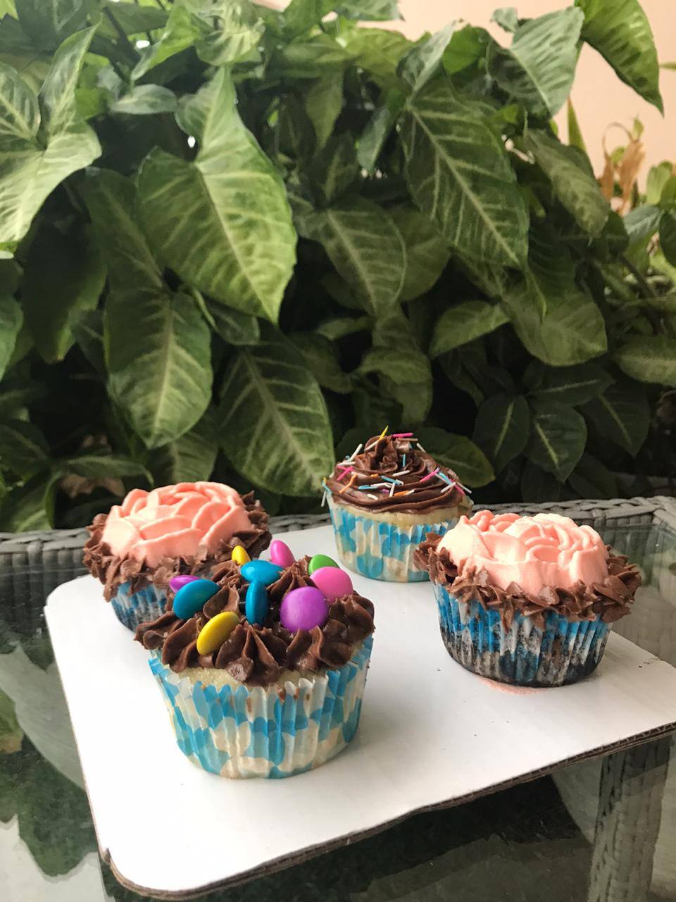 The Buddy Baker, Mowa, Raipur Zomato