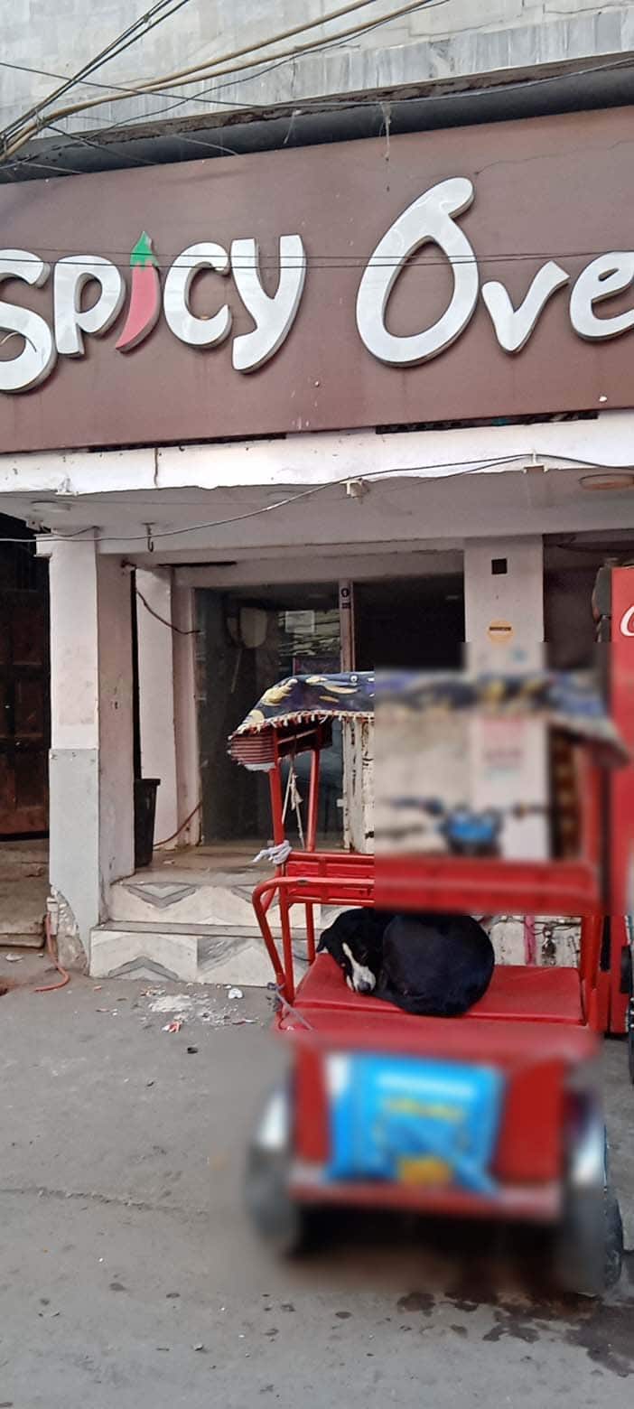 Spicy Oven, Karol Bagh, New Delhi Zomato