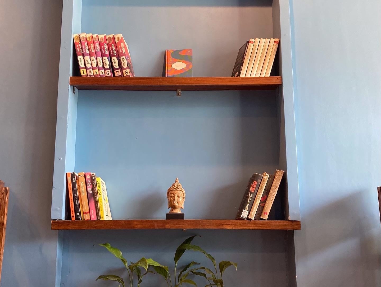 specialty coffee, specialty coffee shops, specialty coffee cafes, coffee roasters, third wave coffee, artisanal coffee, pour over coffee - Indian Coffee Factory - img4