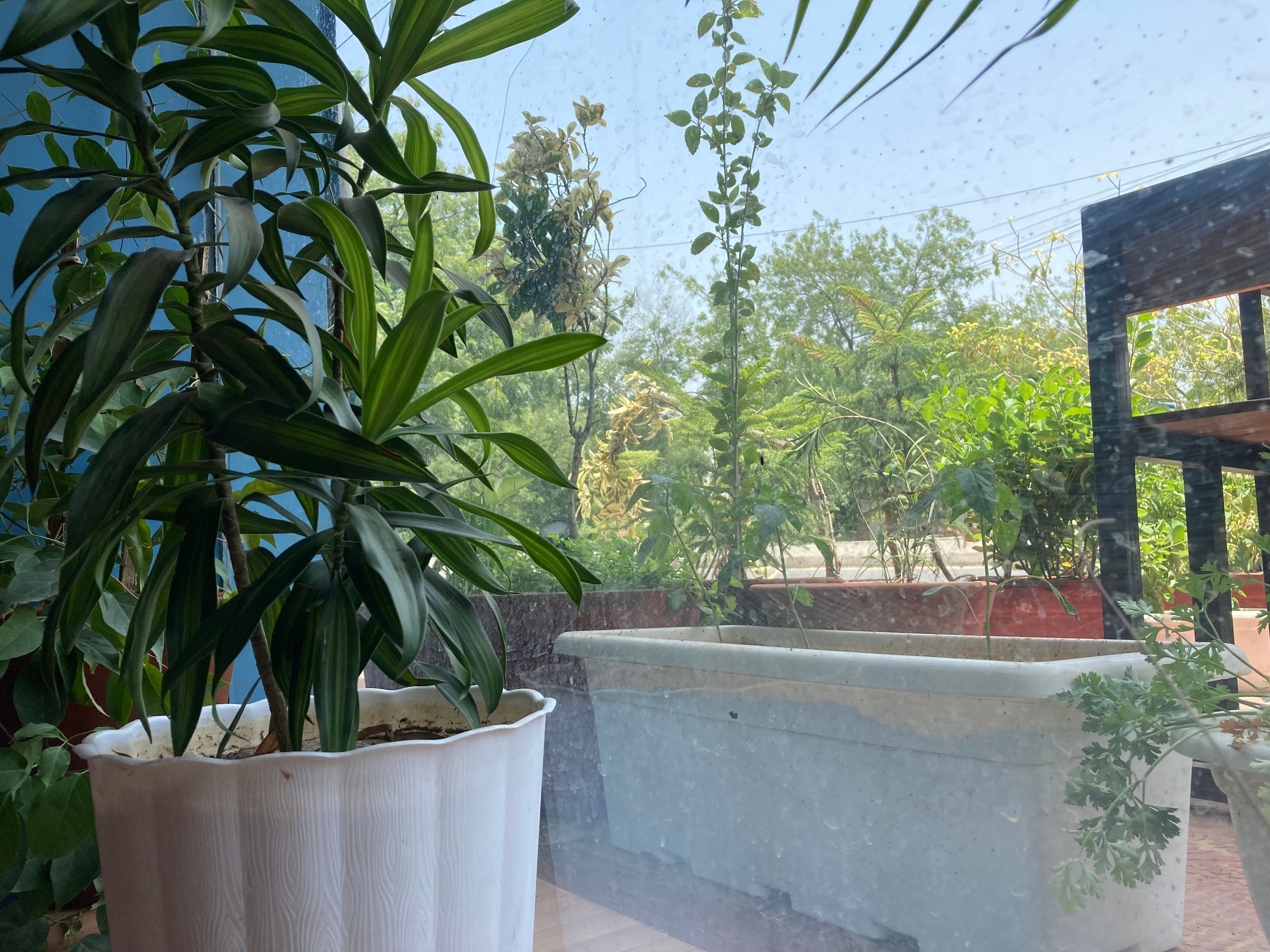 specialty coffee, specialty coffee shops, specialty coffee cafes, coffee roasters, third wave coffee, artisanal coffee, pour over coffee - Indian Coffee Factory - img3