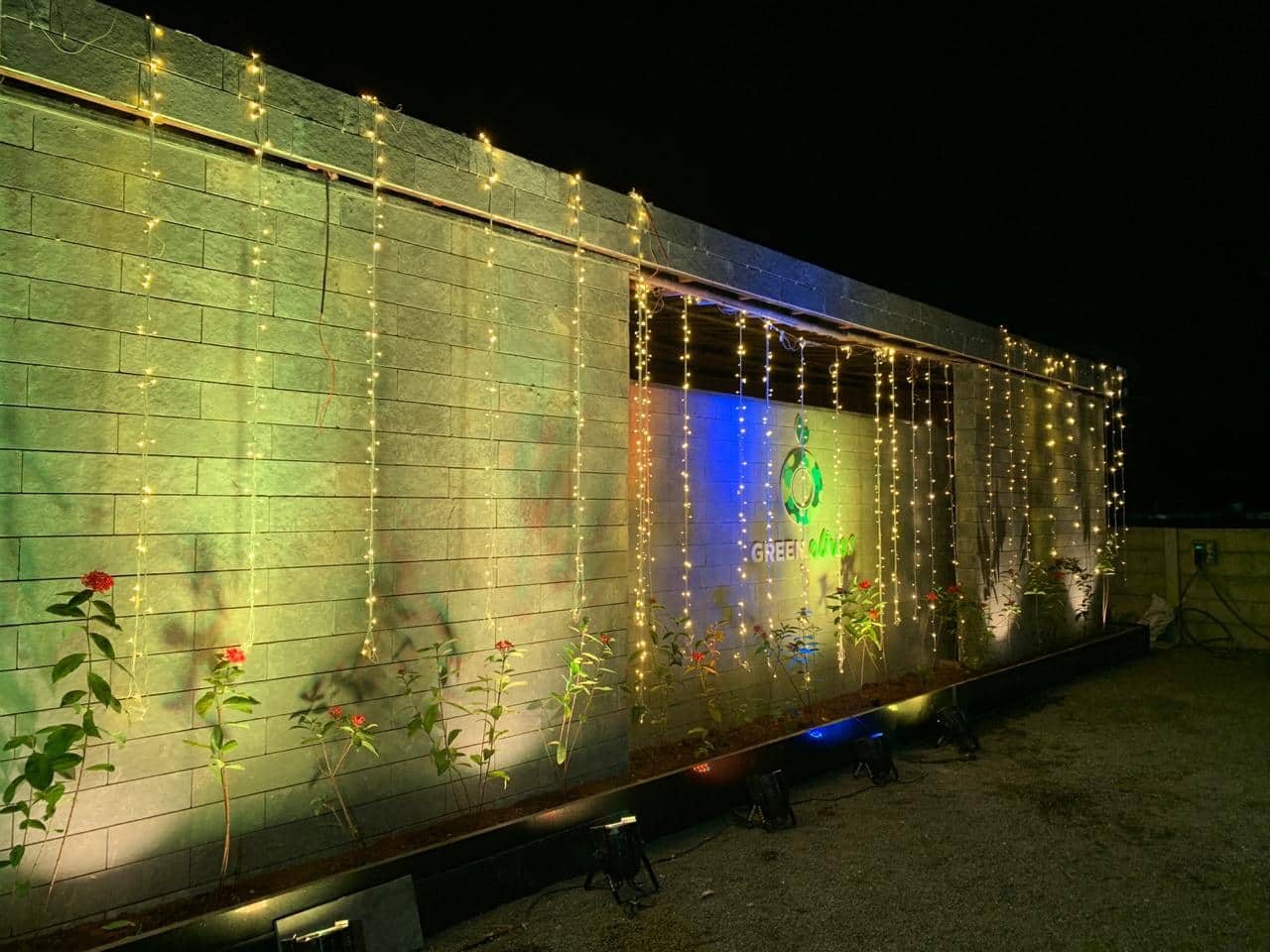 Green Olives Pure Veg, Anand Wali Goan, Nashik Zomato