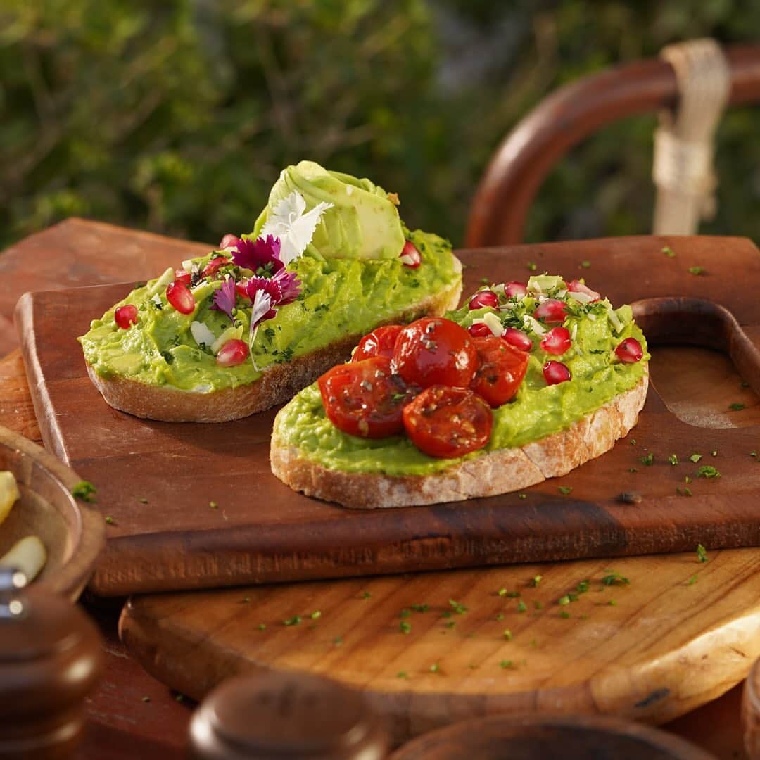 pet friendly places, pet friendly cafes, pet friendly dining, dog friendly restaurants, dog friendly cafes - The Big Tree - img4