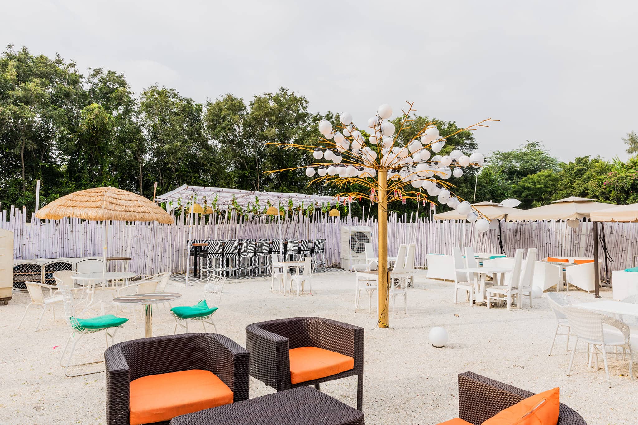 The Big Tree Cafe Golf Course Road Gurgaon Zomato