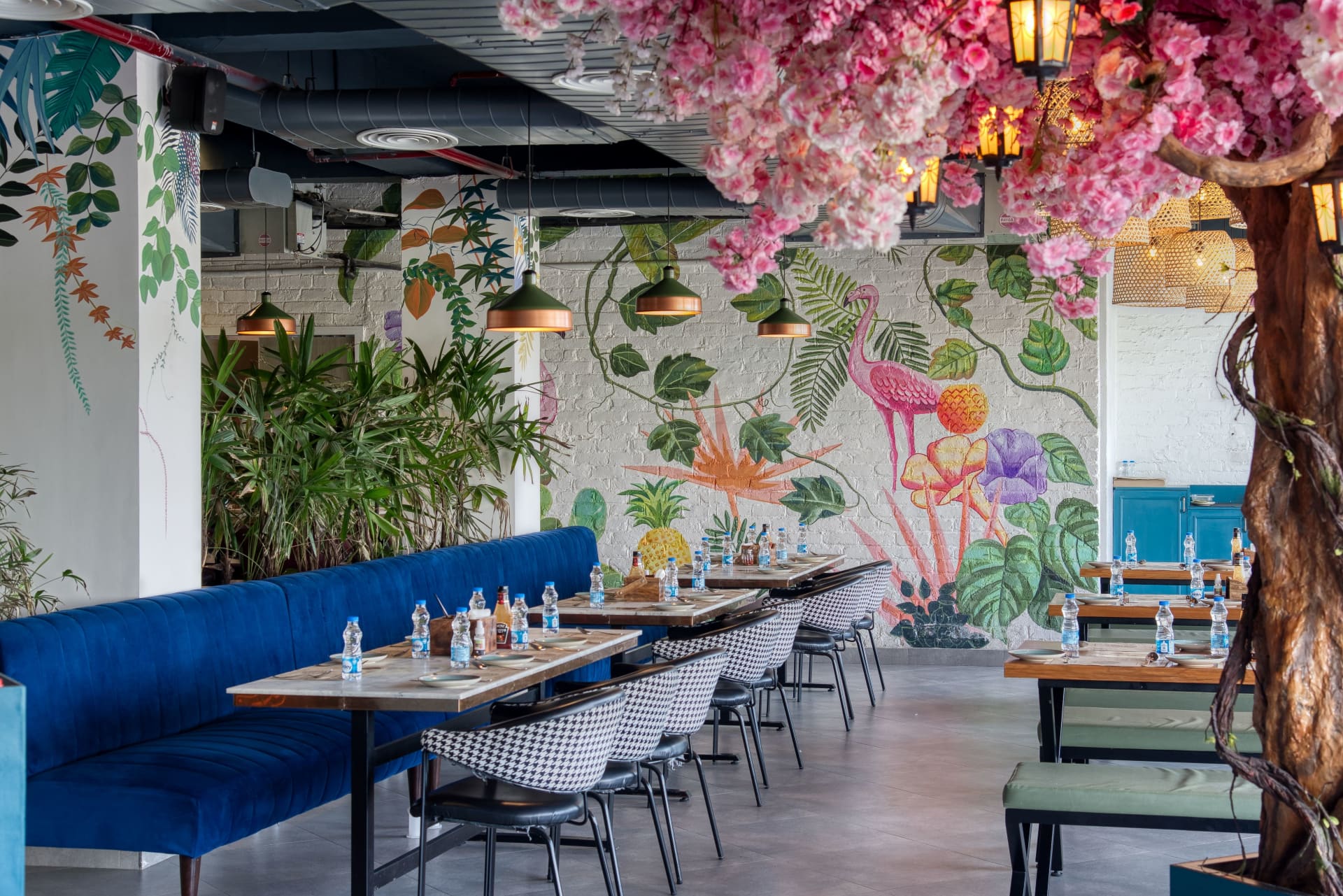 Spezia Bistro image
