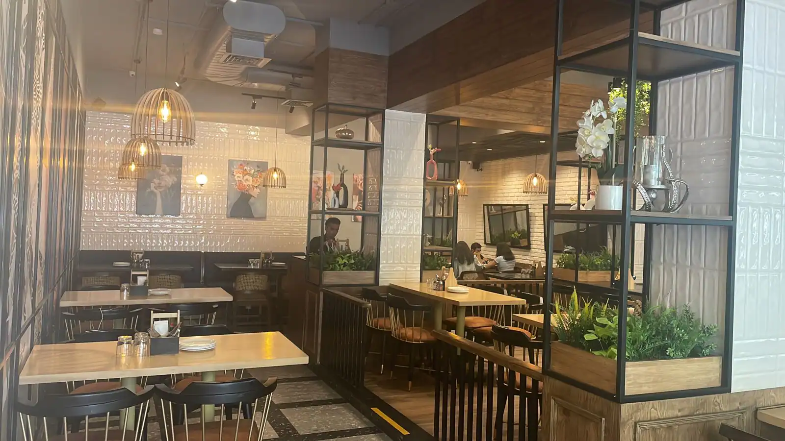 Mango Tree, Model Town, Jalandhar Zomato