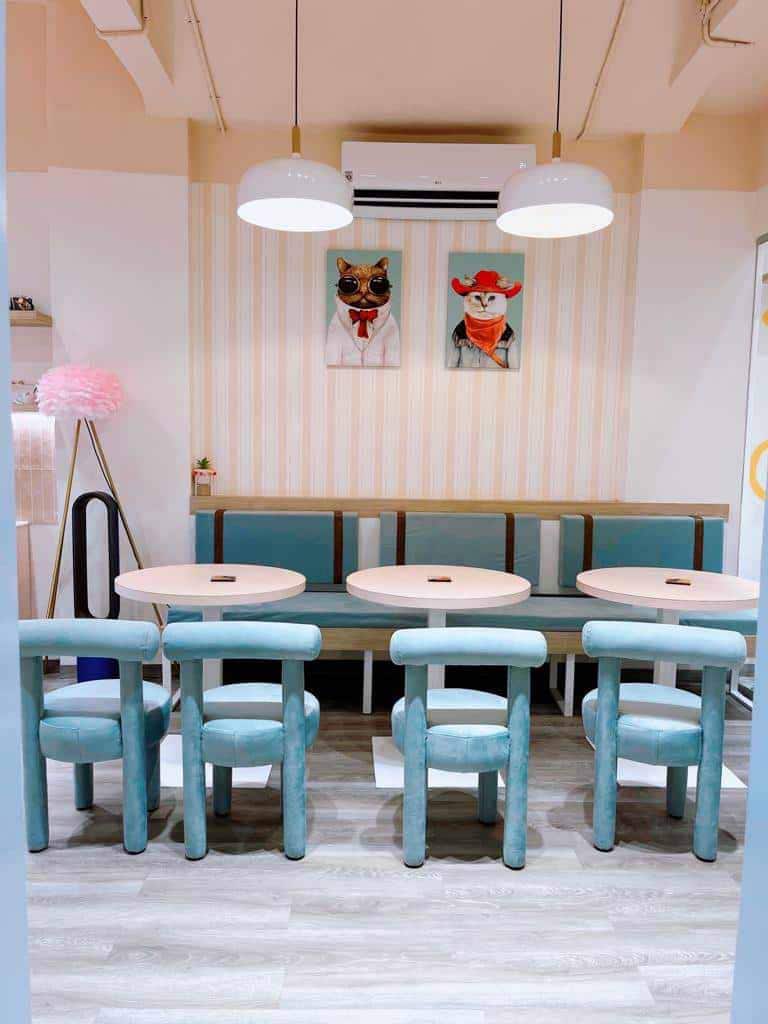 Kit Cat Cafe, 7 Bungalows, Andheri West, Mumbai Zomato