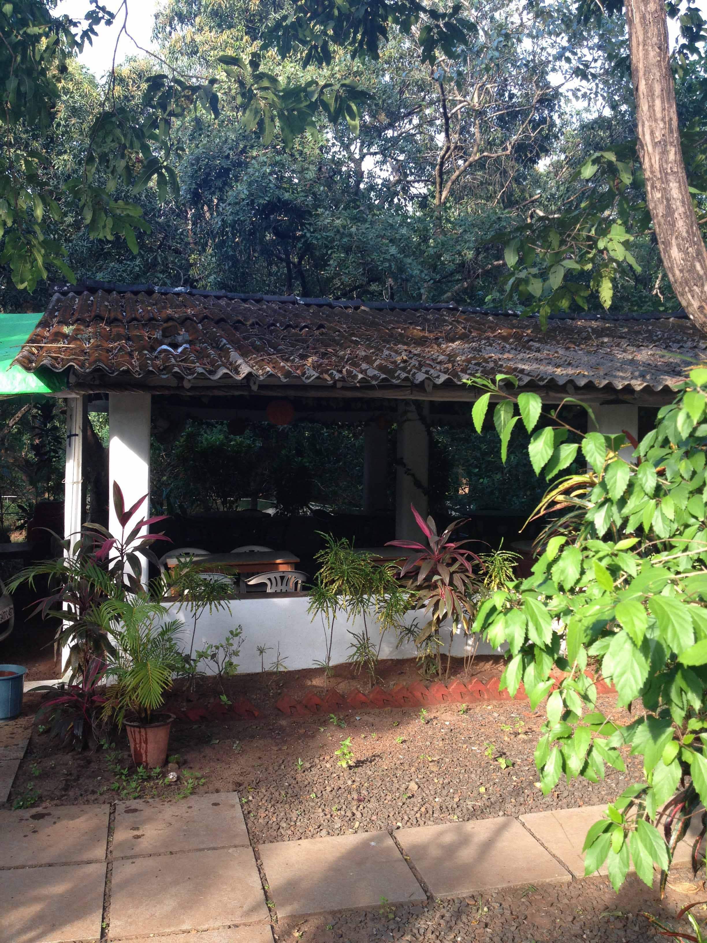 Salt & Pepper, Vagator, Goa Zomato