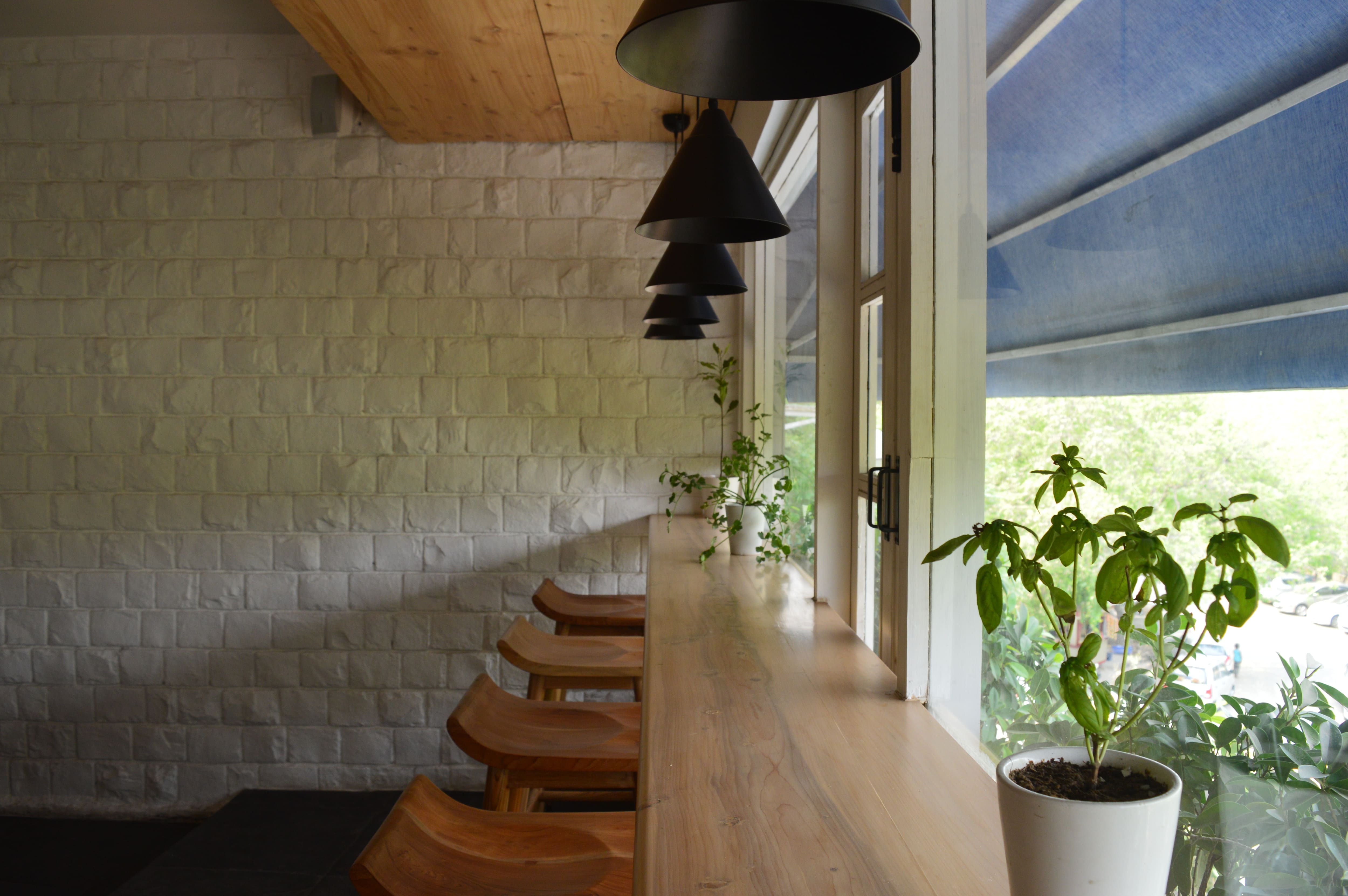 Perch Wine & Coffee Bar, Vasant Vihar, New Delhi Zomato