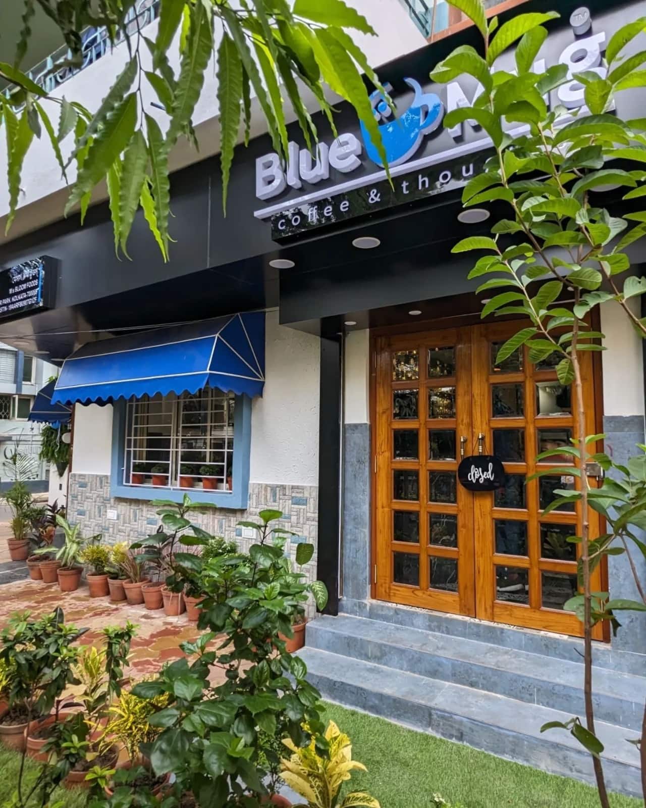 cafes, outdoor cafe near me, outdoor cafes, cafe outdoor seating, cafe with outdoor seating near me - Blue Mug - img4