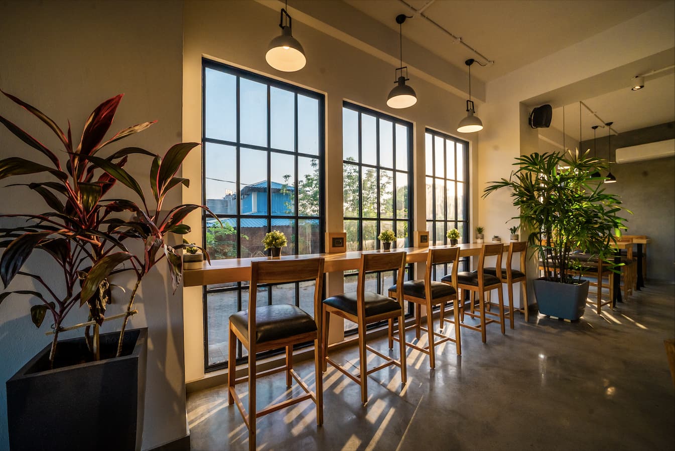 half light coffee roasters malviya nagar jaipur reviews
