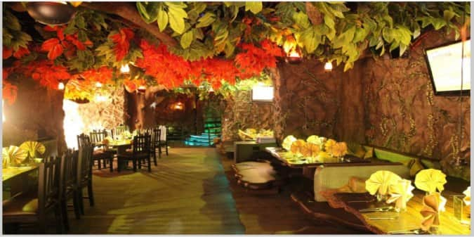 Rainforest Resto Bar Viman Nagar Pune Zomato