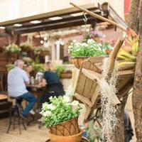 The Garden Shed, Mt Eden, Auckland - Menumania/Zomato