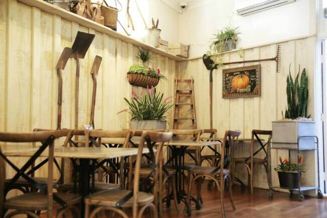 The garden shed mount eden, storage shed cairns