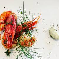 Olio milano zomato Olio milano zomato