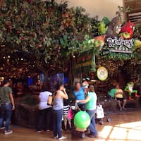 Grapevine Mills Rainforest Cafe Hours Grapevine Mills Rainforest Cafe Hours