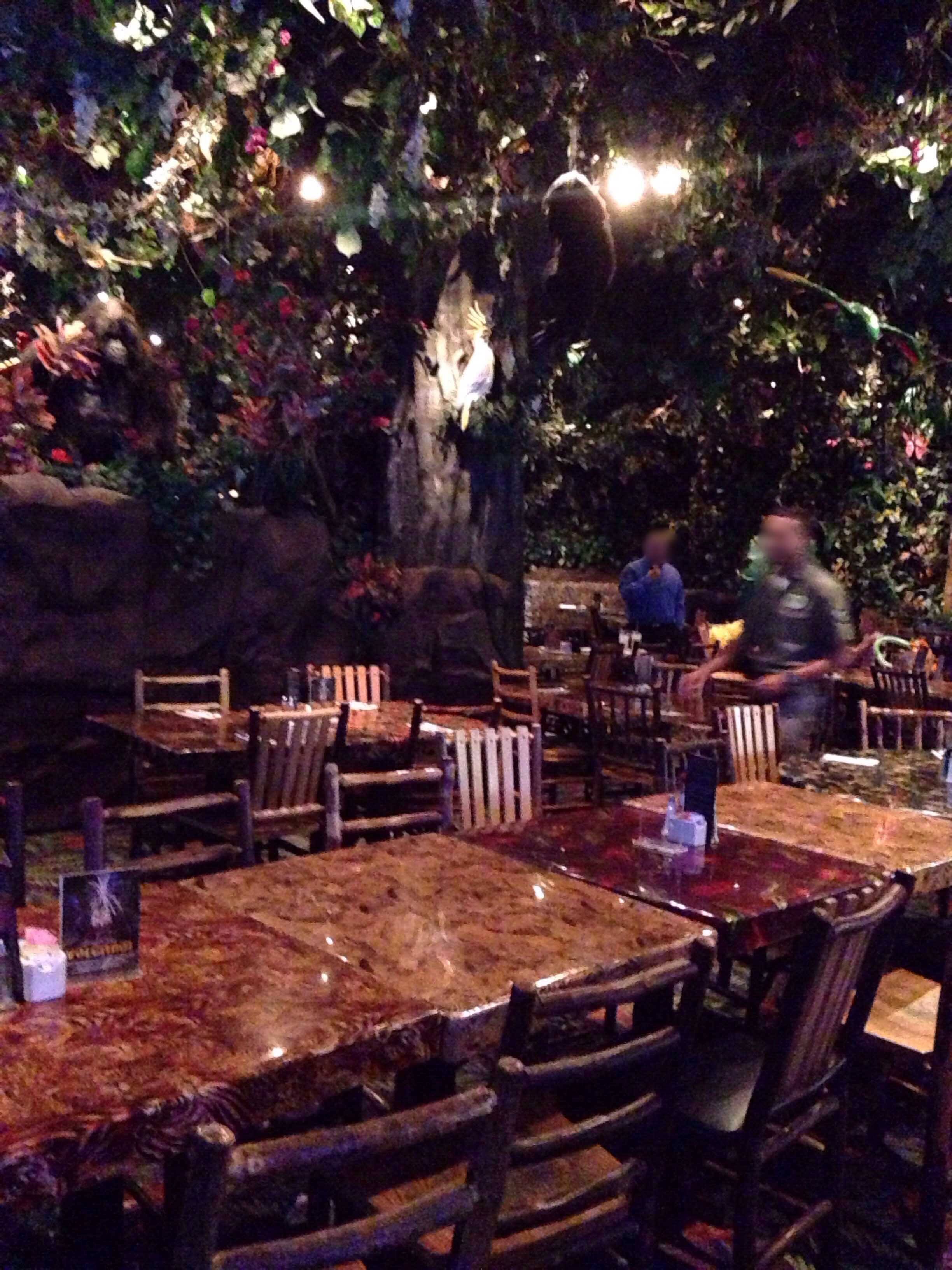 Rainforest Cafe Photos Pictures Of Rainforest Cafe