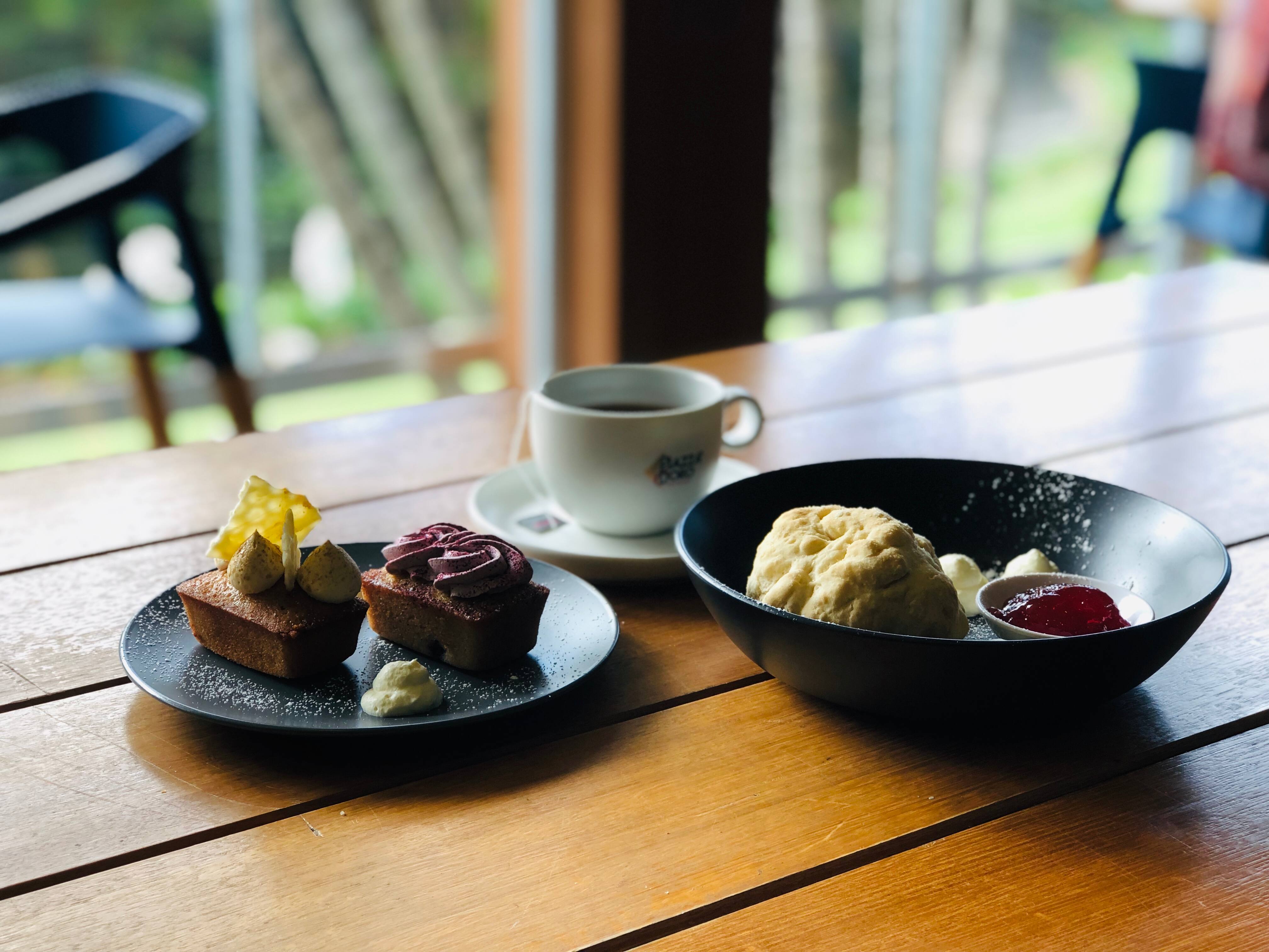 Botanical Gardens Café, Mount Coottha, Brisbane Zomato