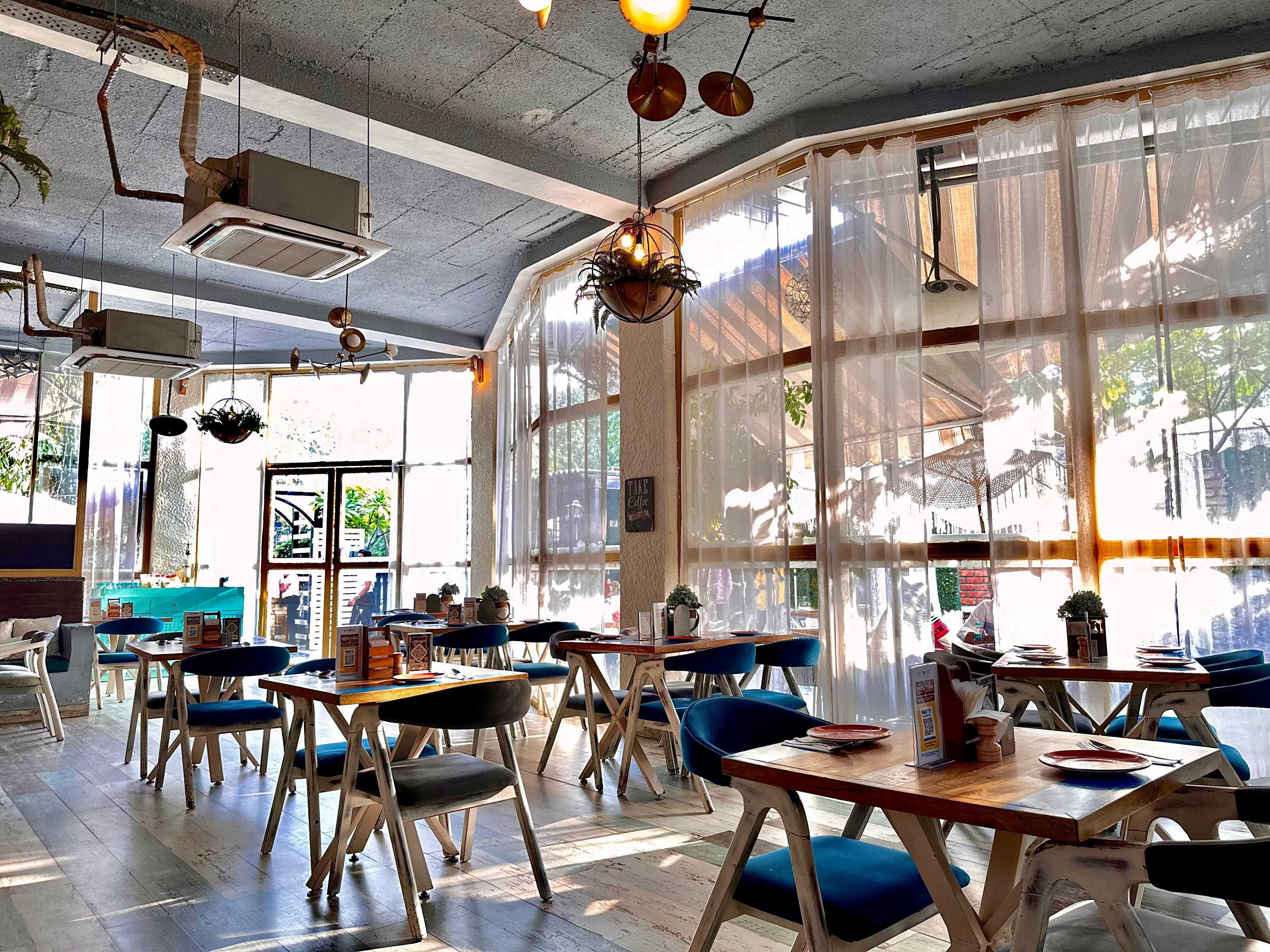 pet friendly places, pet friendly cafes, pet friendly dining, dog friendly restaurants, dog friendly cafes - Cafe Uncover - img3