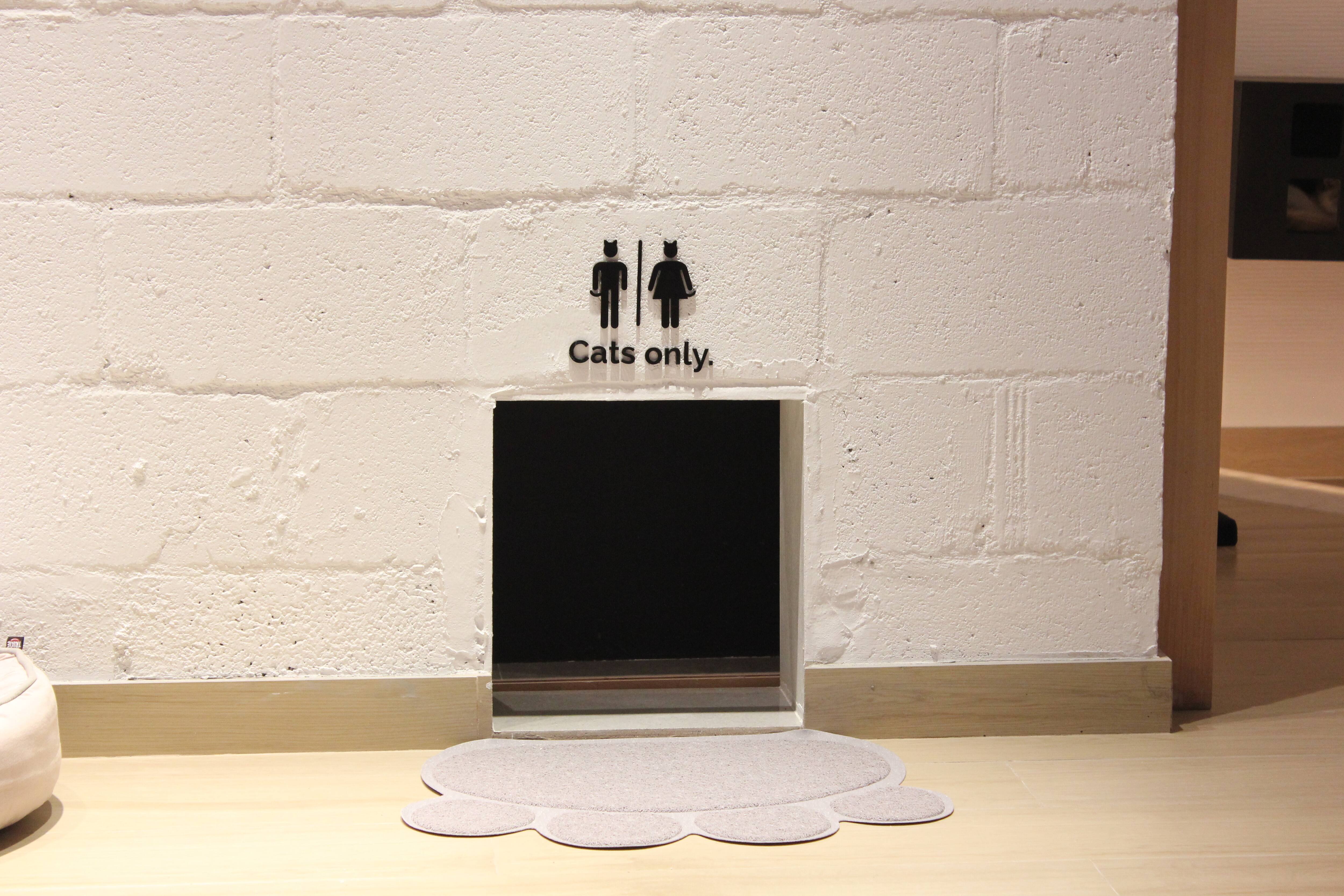 Cat Cafe Vibrissae, Al Safa, Dubai Zomato