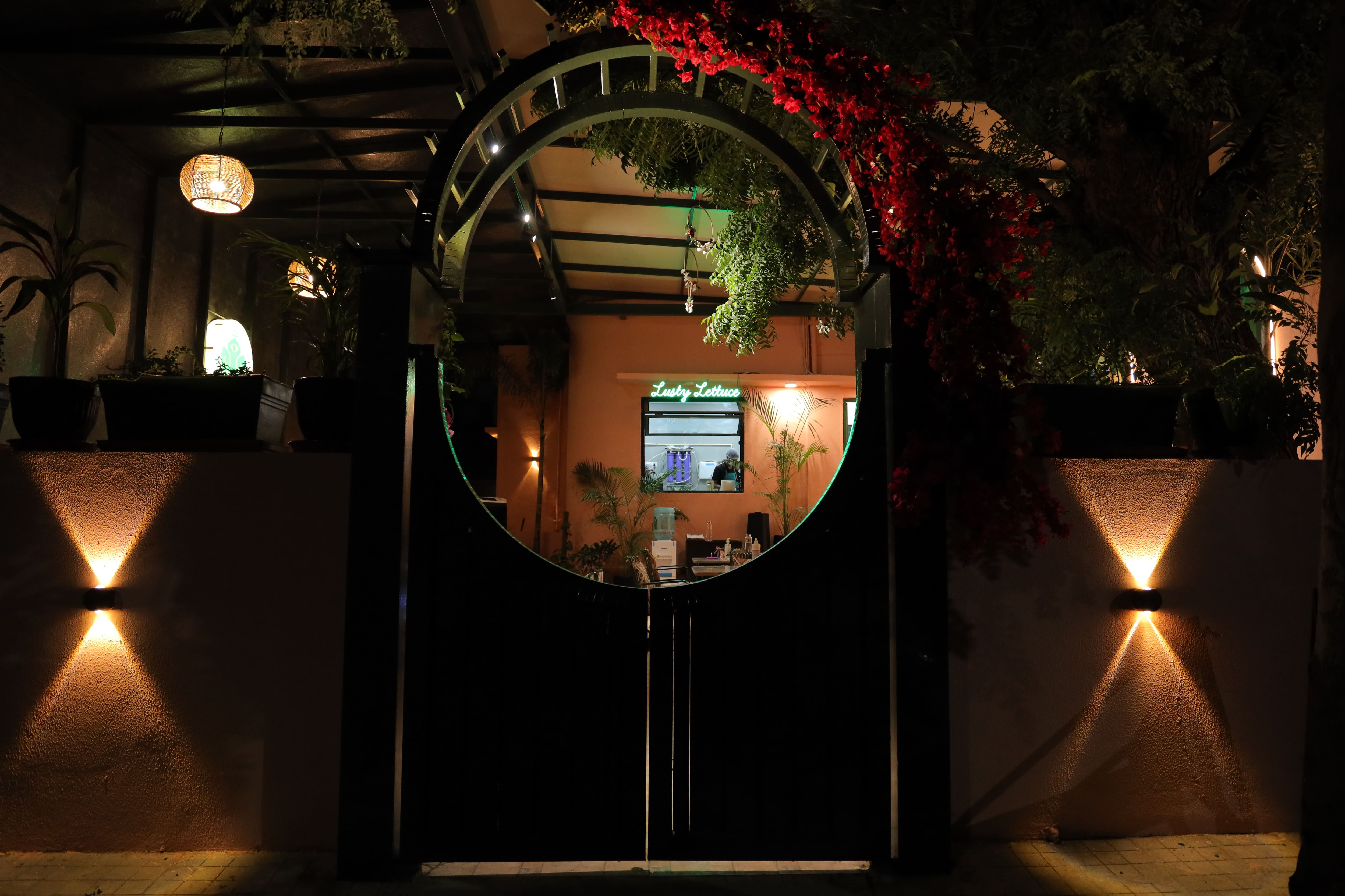 pet friendly places, pet friendly cafes, pet friendly dining, dog friendly restaurants, dog friendly cafes - Lusty Lettuce - img5