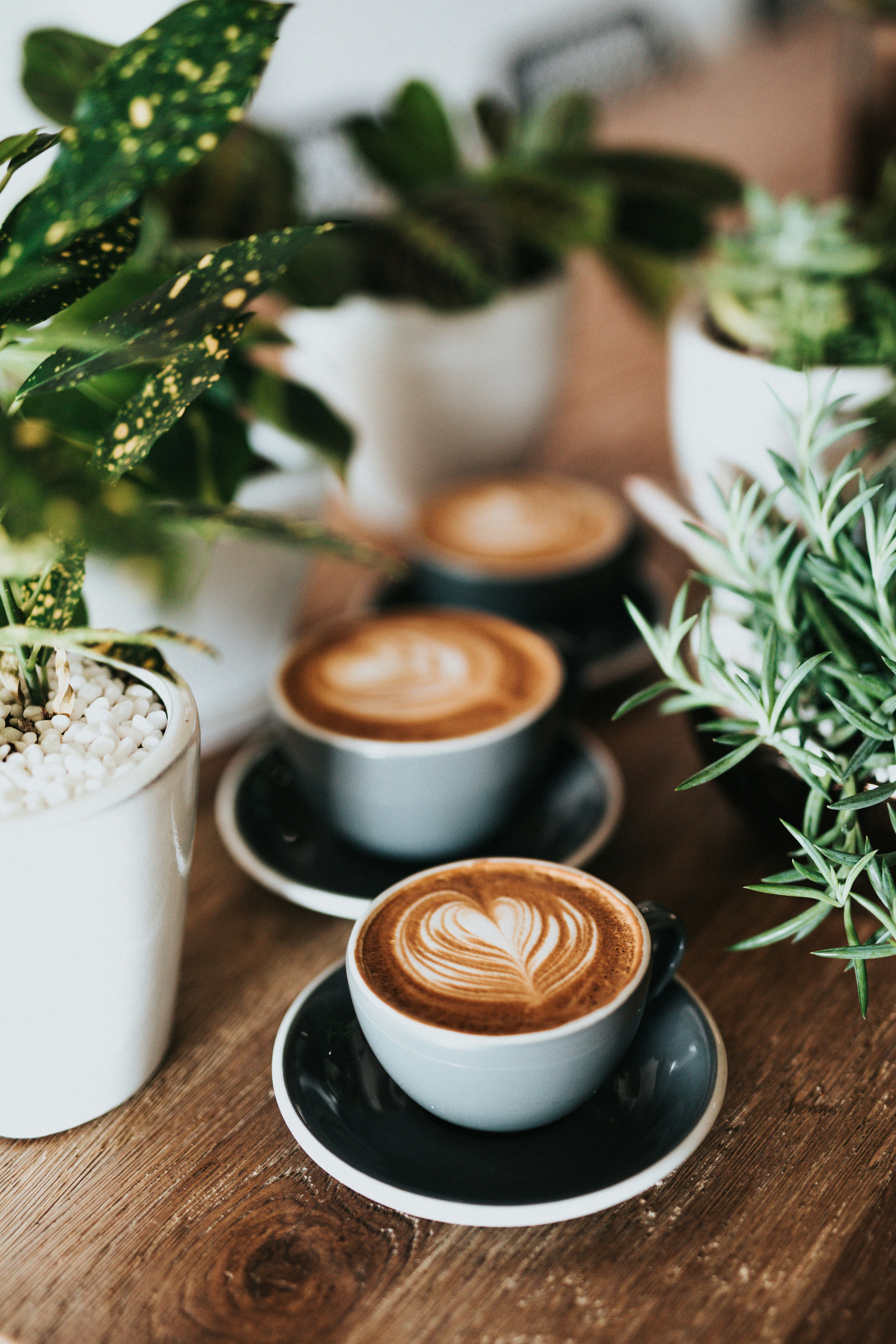 matcha, matcha cafes, matcha latte, matcha drinks, matcha desserts, japanese cafes, green tea cafes, matcha beverages - 8th Day Cafe & Bakery - img1